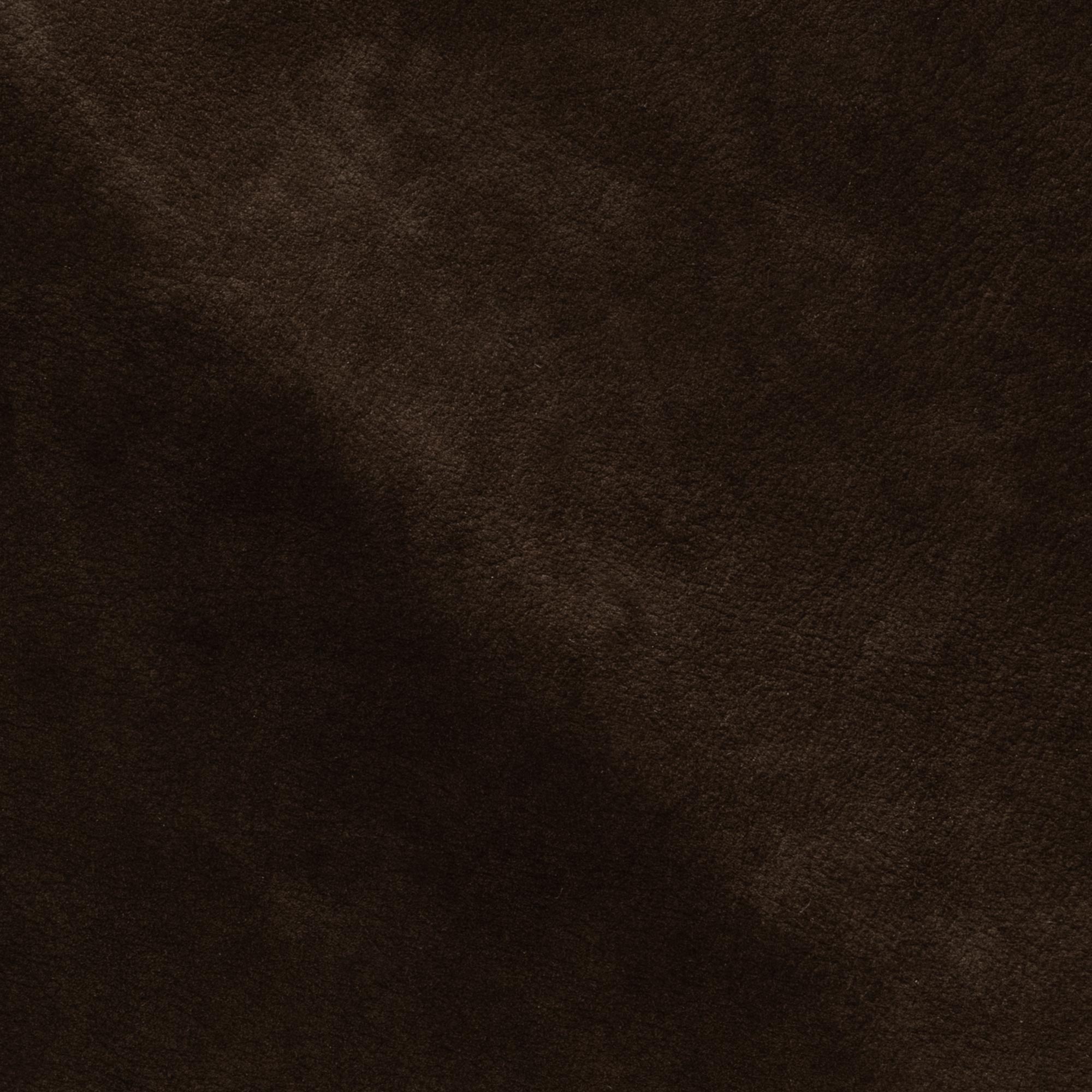 NP08