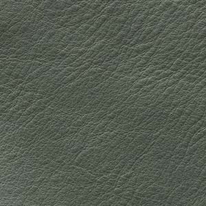 AL_72_8_VERDE_SALVIA